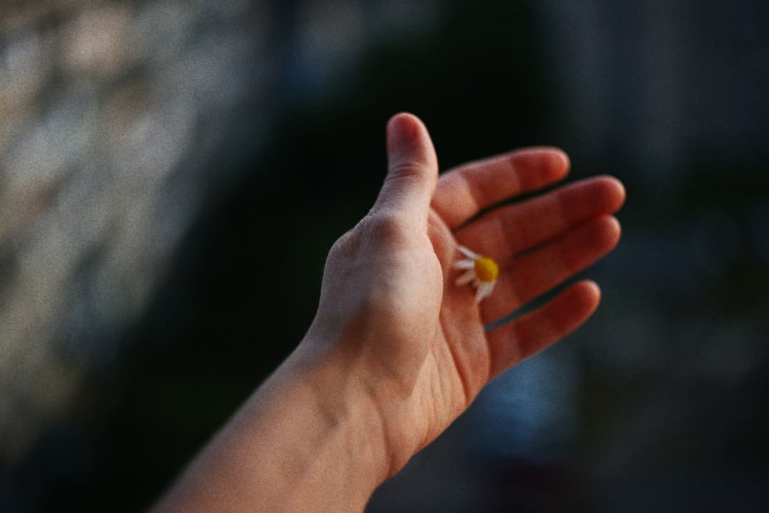谁是未来台行政机构负责人？郭正亮点名这两位